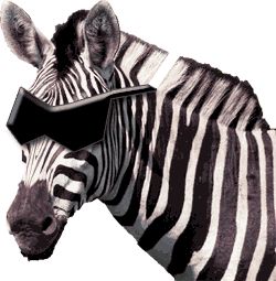 Blind Zebra